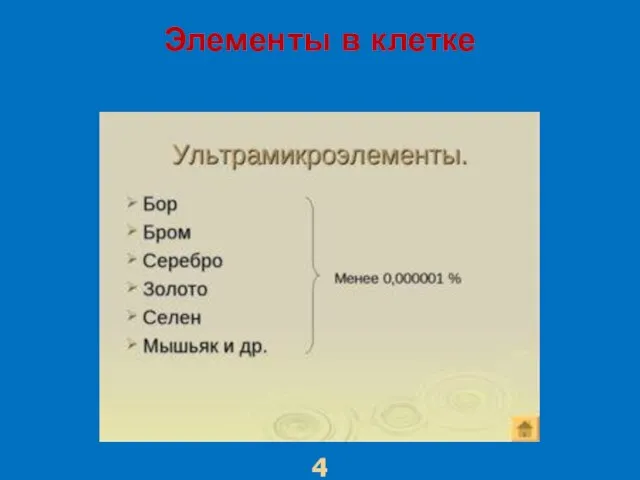 Элементы в клетке 4