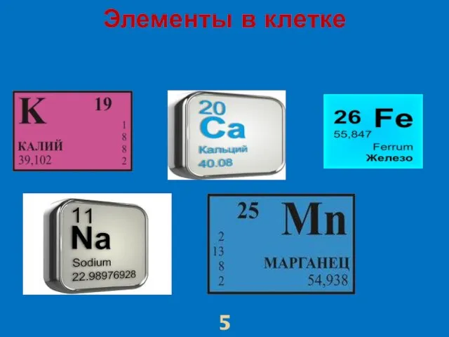 Элементы в клетке 5