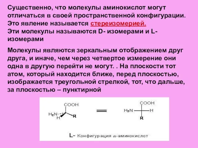 Существенно, что молекулы аминокислот могут отличаться в своей пространственной конфигурации. Это явление