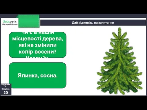 Дай відповідь на запитання Чи є в нашій місцевості дерева, які не