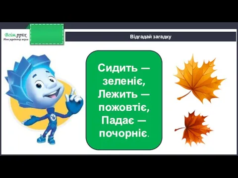 Сидить — зеленіє, Лежить — пожовтіє, Падає — почорніє. Відгадай загадку