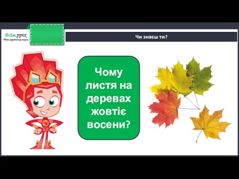 Чи знаєш ти? Чому листя на деревах жовтіє восени?