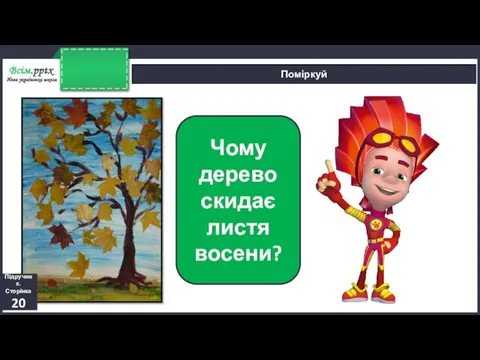 Поміркуй Чому дерево скидає листя восени? Підручник. Сторінка 20