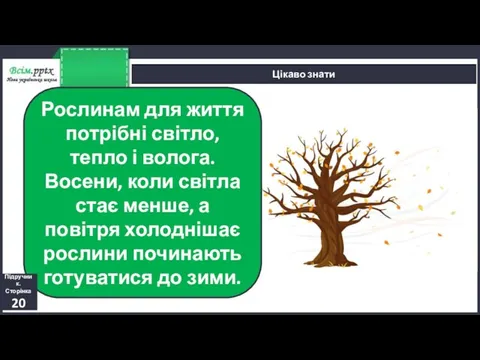 Цікаво знати Рослинам для життя потрібні світло, тепло і волога. Восени, коли