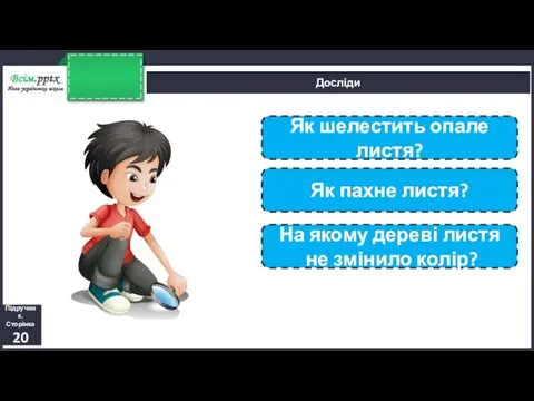 Досліди Підручник. Сторінка 20 Як шелестить опале листя? Як пахне листя? На