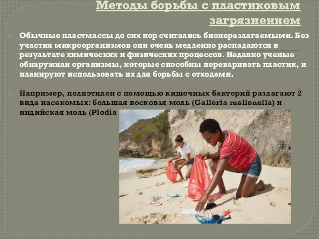 Методы борьбы с пластиковым загрязнением Обычные пластмассы до сих пор считались бионеразлагаемыми.