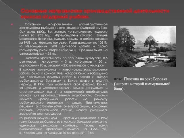 Основные направления производственной деятельности колхоза «Ударный рыбак». Основным направлением производственной деятельности рыболовецкого