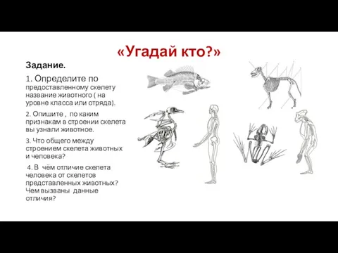 «Угадай кто?» Задание. 1. Определите по предоставленному скелету название животного ( на