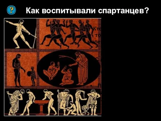 Как воспитывали спартанцев? Кто решал вопрос о том, жить или нет маленькому