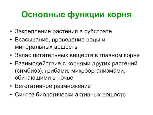 Основные функции корня Закрепление растения в субстрате Всасывание, проведение воды и минеральных