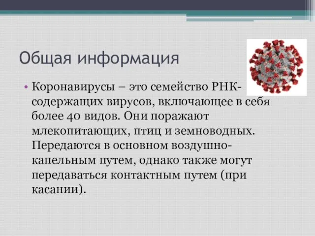 Общая информация Коронавирусы – это семейство РНК-содержащих вирусов, включающее в себя более