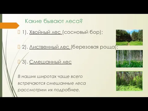 Какие бывают леса? 1). Хвойный лес (сосновый бор); 2). Лиственный лес (березовая