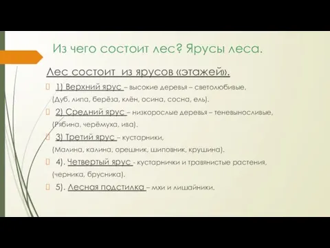 Из чего состоит лес? Ярусы леса. Лес состоит из ярусов «этажей». 1)