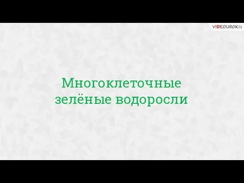 Многоклеточные зелёные водоросли