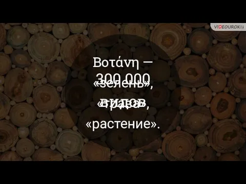 Βοτάνη ― «зелень», «трава», «растение». 300 000 видов