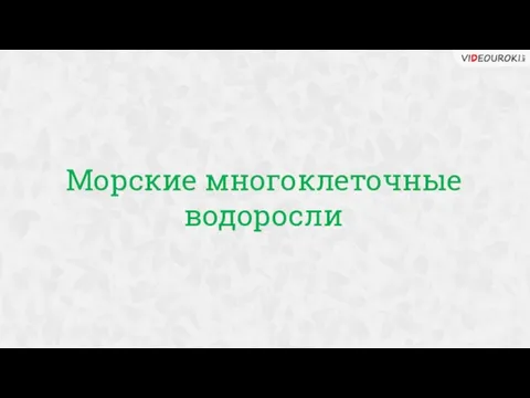 Морские многоклеточные водоросли