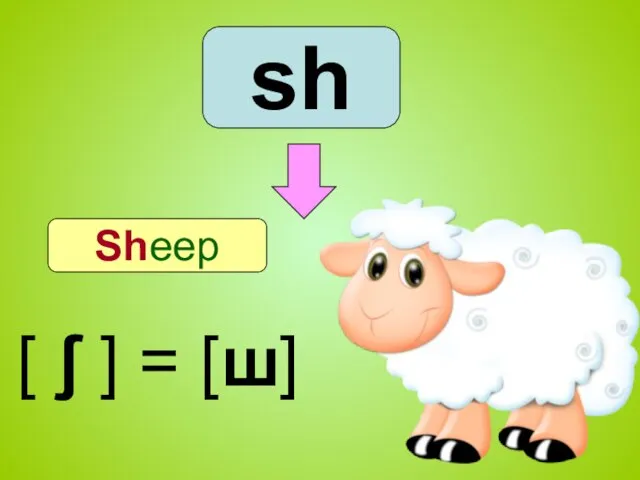sh Sheep [ ʃ ] = [ш]