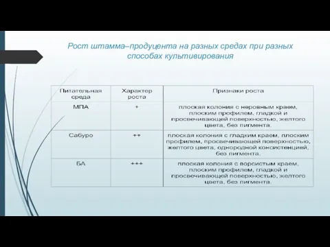 Рост штамма–продуцента на разных средах при разных способах культивирования