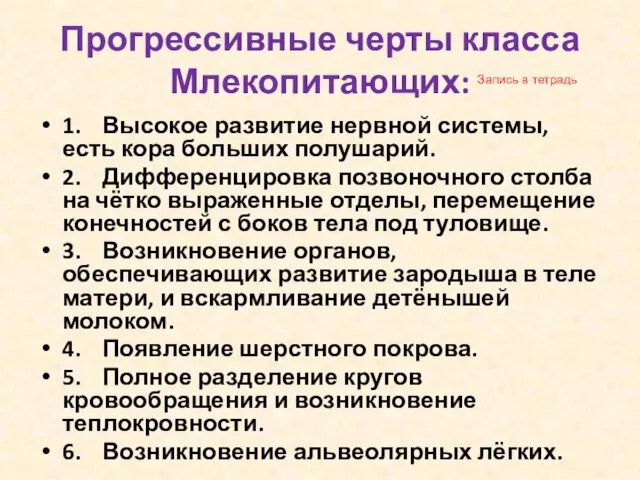 Прогрессивные черты класса Млекопитающих: 1. Высокое развитие нервной системы, есть кора больших