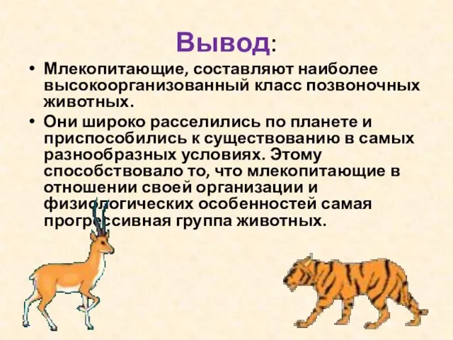 Вывод: Млекопитающие, составляют наиболее высокоорганизованный класс позвоночных животных. Они широко расселились по