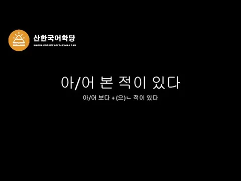 아/어 본 적이 있다 아/어 보다 + (으)ㄴ 적이 있다