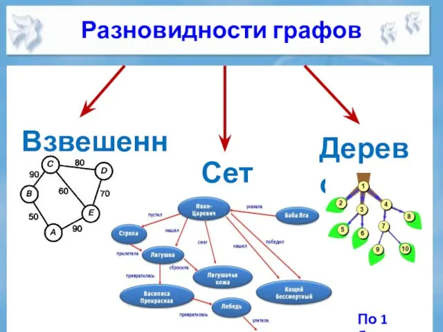 Разновидности графов Взвешенный Сеть Дерево По 1 баллу