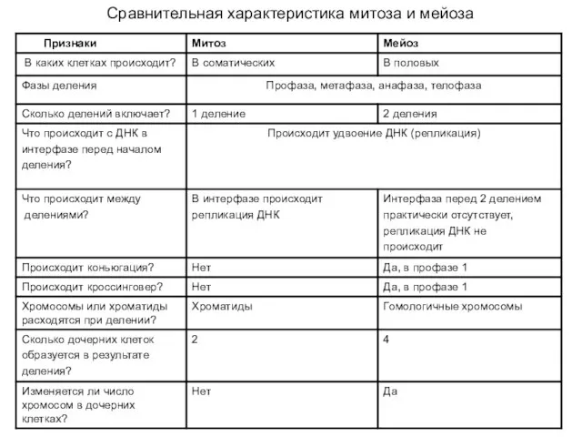 Сравнительная характеристика митоза и мейоза