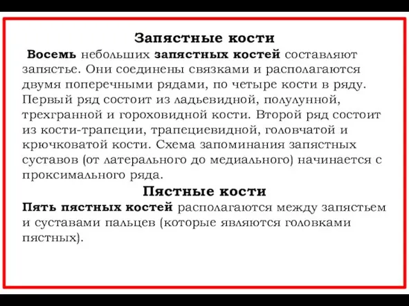 Запястные кости Восемь небольших запястных костей составляют запястье. Они соединены связками и