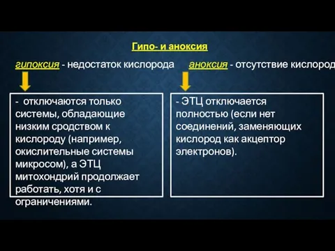 Гипо- и аноксия гипоксия - недостаток кислорода аноксия - отсутствие кислорода -