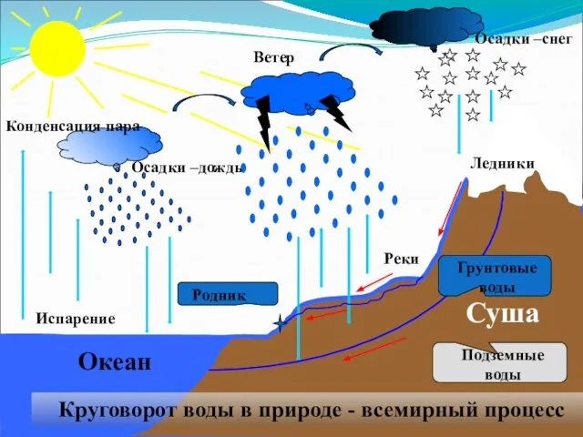 Испарение Конденсация пара Осадки –дождь Осадки –снег Ветер Круговорот воды в природе