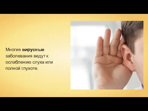 Многие вирусные заболевания ведут к ослаблению слуха или полной глухоте.