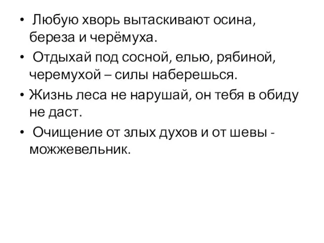 Любую хворь вытаскивают осина, береза и черёмуха. Отдыхай под сосной, елью, рябиной,