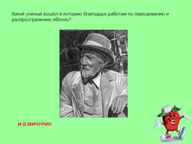 Какой учёный вошёл в историю благодаря работам по скрещиванию и распространению яблонь? И.В.МИЧУРИН