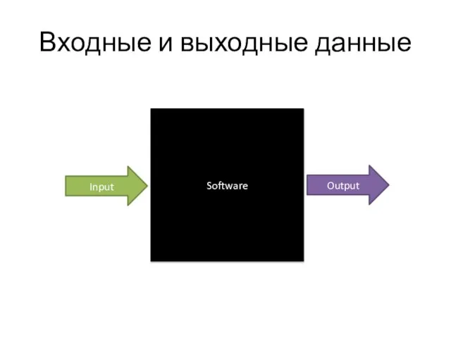 Входные и выходные данные Software Input Output