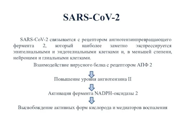 SARS-CoV-2 SARS-CoV-2 связывается с рецептором ангиотензинпревращающего фермента 2, который наиболее заметно экспрессируется