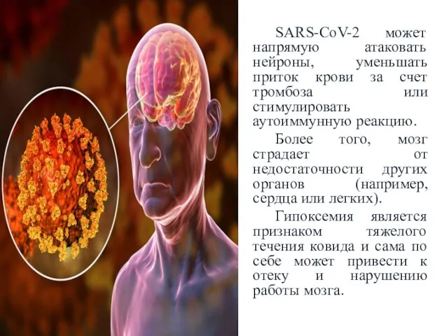 SARS-CoV-2 может напрямую атаковать нейроны, уменьшать приток крови за счет тромбоза или