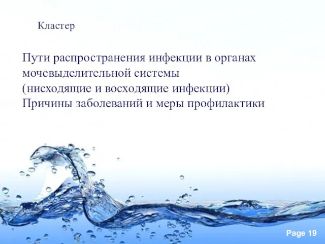 Пути распространения инфекции в органах мочевыделительной системы (нисходящие и восходящие инфекции) Причины