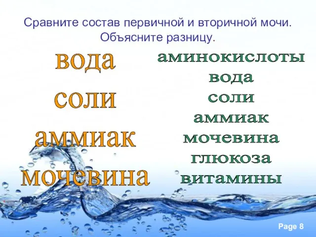 аминокислоты вода соли аммиак мочевина глюкоза витамины вода соли аммиак мочевина Сравните