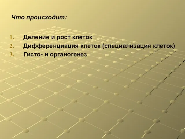 Что происходит: Деление и рост клеток Дифференциация клеток (специализация клеток) Гисто- и органогенез