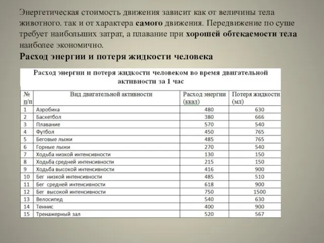 Энергетическая стоимость движения зависит как от величины тела животного. так и от