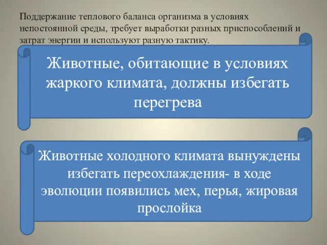 Поддержание теплового баланса организма в условиях непостоянной среды, требует выработки разных приспособлений