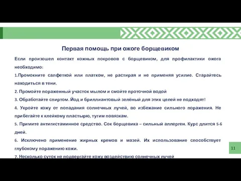 11 Первая помощь при ожоге борщевиком Если произошел контакт кожных покровов с