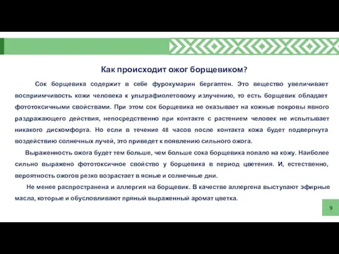 9 Как происходит ожог борщевиком? Сок борщевика содержит в себе фурокумарин бергаптен.