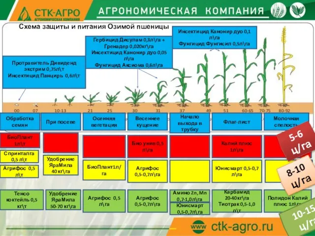 Гербицид Дисулам 0,3л\га + Гренадер 0,020кг\га Инсектицид Канонир дуо 0,05л\га Фунгицид Аксиома