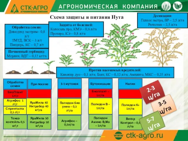 Схема защиты и питания Нута Обработка семян: Дивиденд экстрим– 0,8 л/т ТМТД,