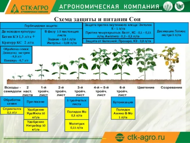 Защита от болезней: Прозаро, КЭ - 0,8 л/га Гербицидная защита: Защита против