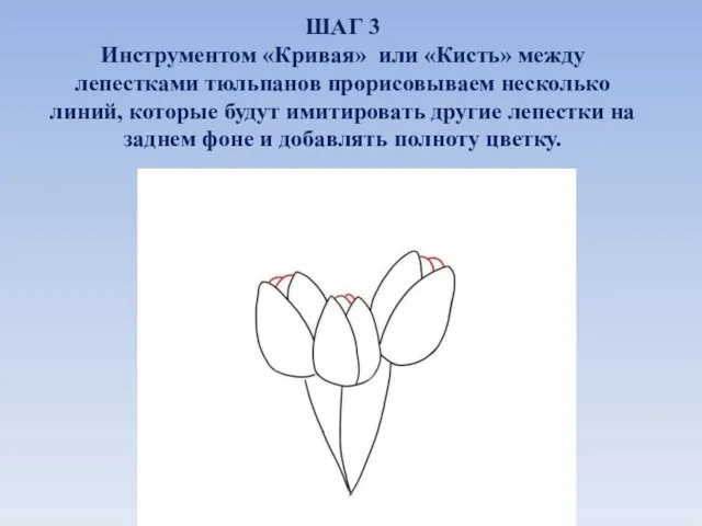 ШАГ 3 Инструментом «Кривая» или «Кисть» между лепестками тюльпанов прорисовываем несколько линий,