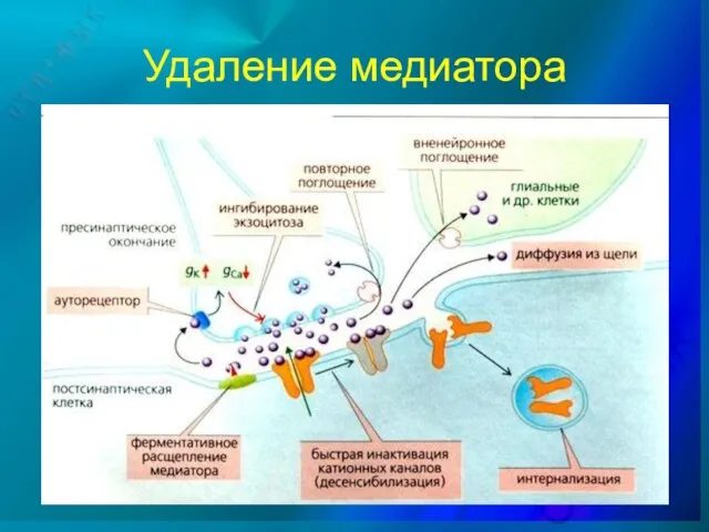 Удаление медиатора