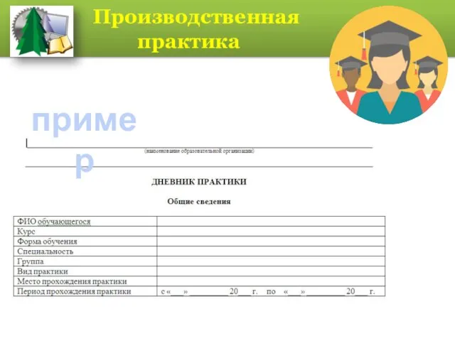 Производственная практика КОГПОБУ «Кировский лесопромышленный колледж» пример