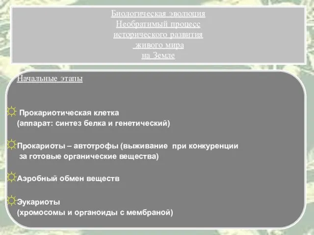 Начальные этапы Прокариотическая клетка (аппарат: синтез белка и генетический) Прокариоты – автотрофы